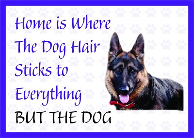 Home is Where The Dog Hair - Lustiger Deutscher Schäferhund Vinyl Auto Van Aufkleber Sticker Haustier