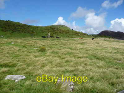 Photo 6x4 Standing stone and lying cattle Arthog A patrol of cattle provi c2010
