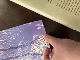 Shenmue II 2 Sega Dreamcast Promotional Poster B2