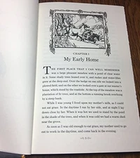 Title: Black Beauty - VERY GOOD