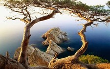 Landscape nature trees sea rocks water plants blue Custom Gaming Mat Desk