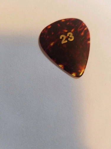 Pearl Jam pick Eddie Vedder EV23 Rare TORTOISE SHELL guitar pick - Picture 1 of 1