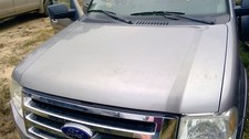 Hood Fits 07-17 Expedition 393198
