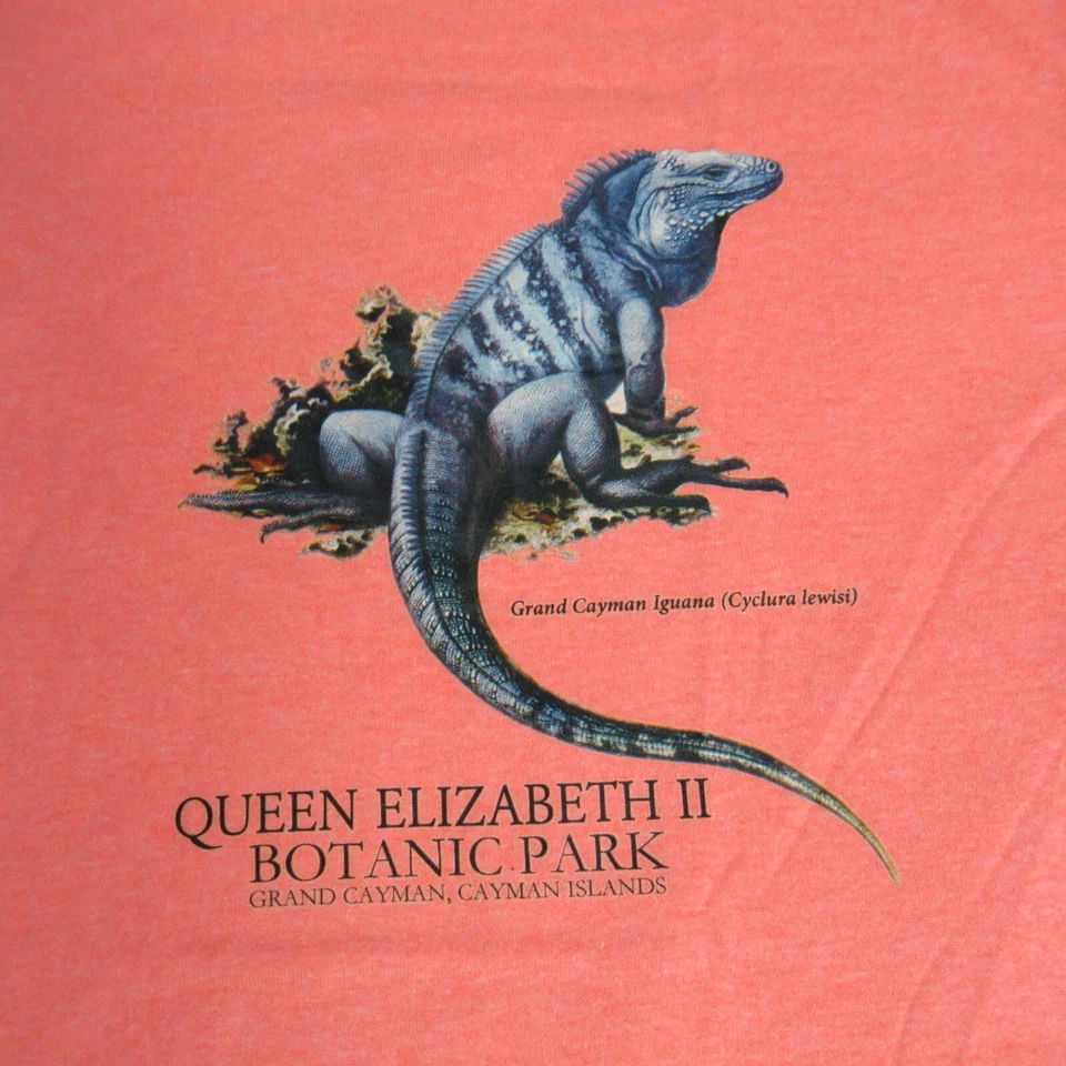 Botanic Park Cayman Islands T Shirt Kids Large Peach Lizard Logo Tee Caribbean - Image 3 of 4