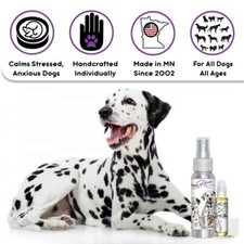 Dalmatian Relax Dog Aromatherapy  Calms Frightened, Anxious Dogs Naturally