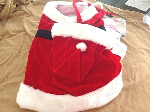 big dog santa costume