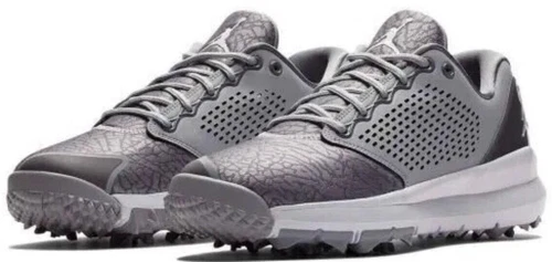 Jordan Trainer ST Wolf Grey