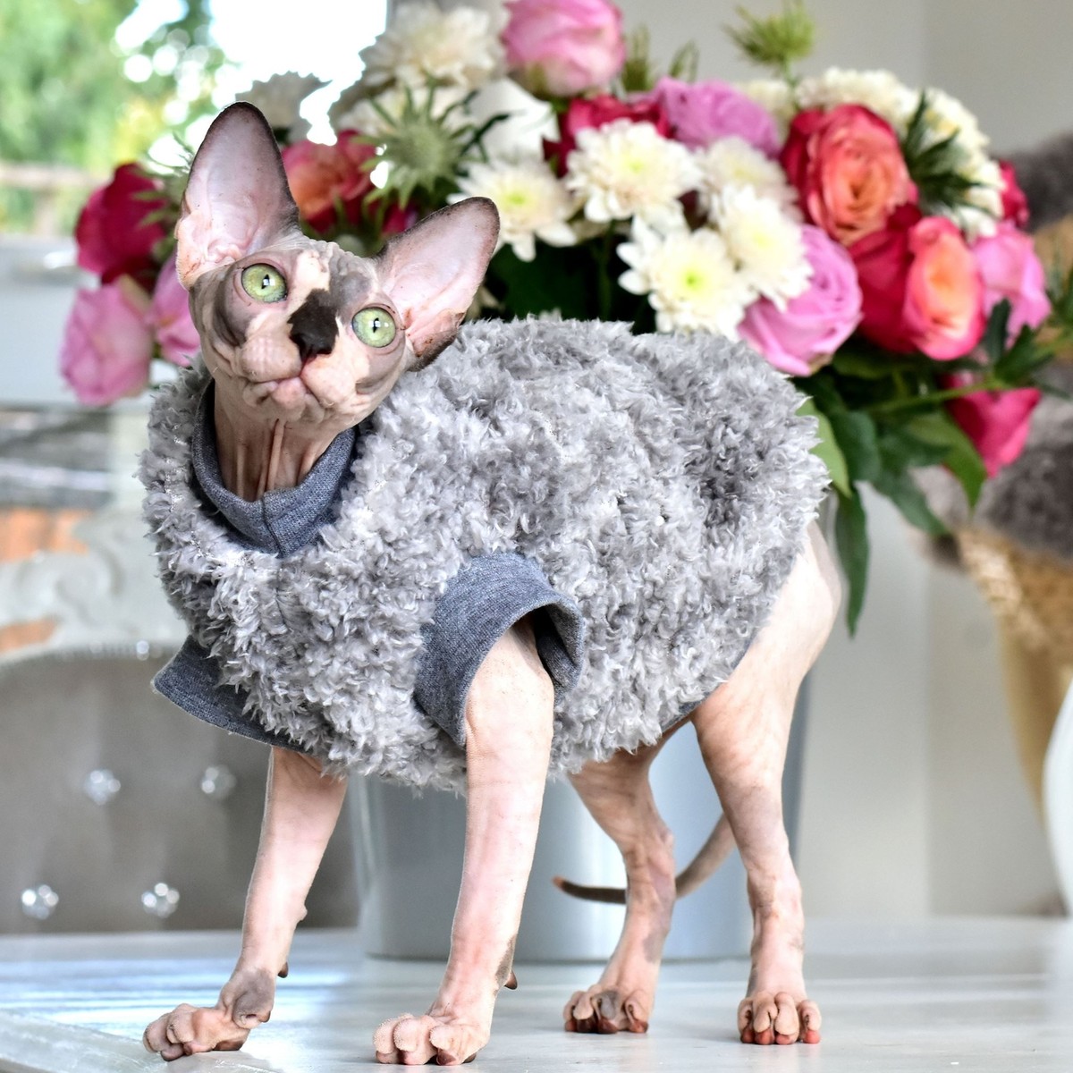 Two Tone All Grey Teddy Bear Double-sided Sherpa Fleece Sphynx