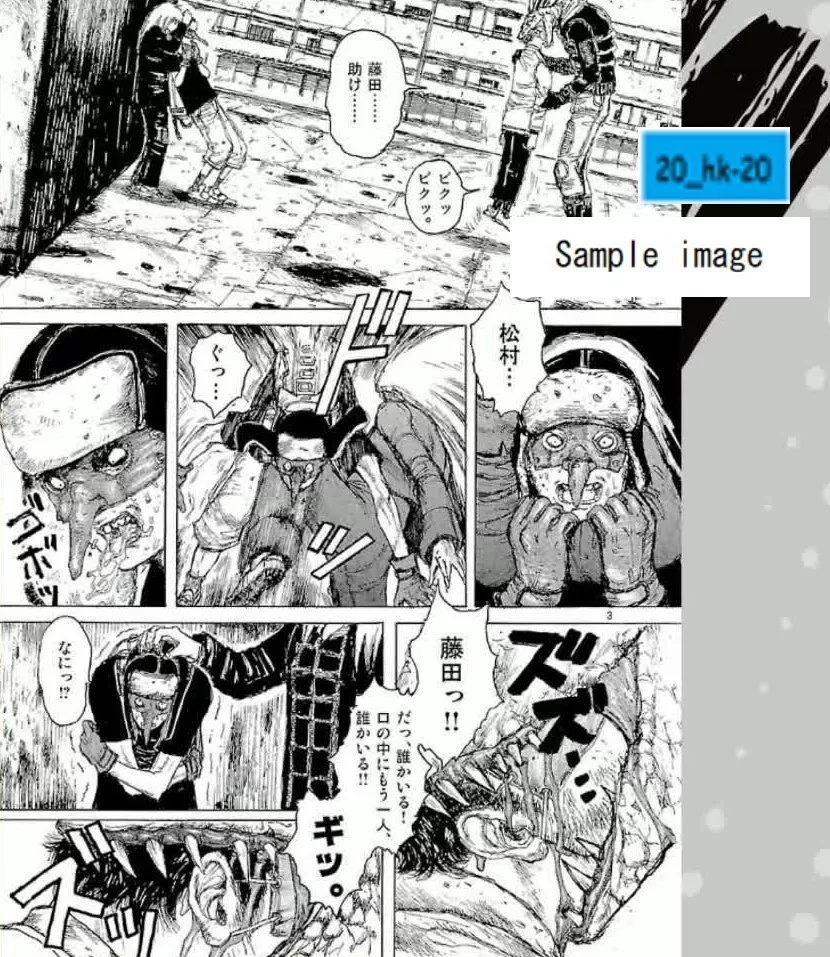 4091882714 Manga Q-Hayashida Dorohedoro BIC COMICS IKKI Dark