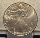 1996 American Silver Eagle 1 oz  uncirculated w/ edge toning