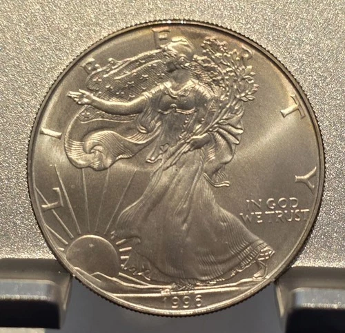 1996 American Silver Eagle 1 oz  uncirculated w/ edge toning