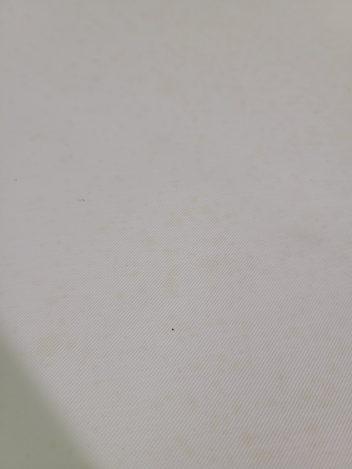 Picture 15 of 24