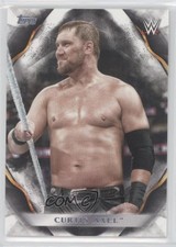 2019 Topps WWE Undisputed Michael Mcgillicutty Curtis Axel #21 4s2