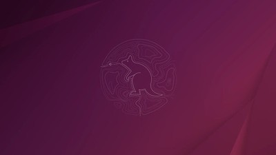 Canonical Ubuntu Desktop Linux 25.10 Install - Questing Quokka - USB Flash Drive