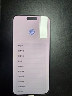 Apple iPhone 15 Pro Max A2849 (USA) 256GB Titan Natur (Zollauktion)