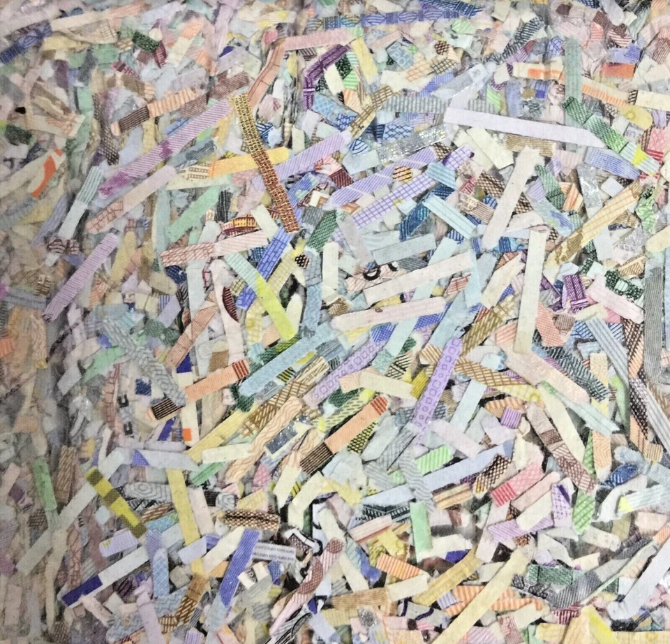 Mazuma *F2085 Germany One Million Euro Shredded Banknote with Original Pack - Image 3 of 4