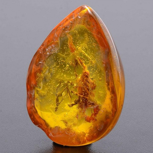 Beautiful Amber Scorpion Fossil Insects Manual Polishing B3N2 - Picture 3 of 10