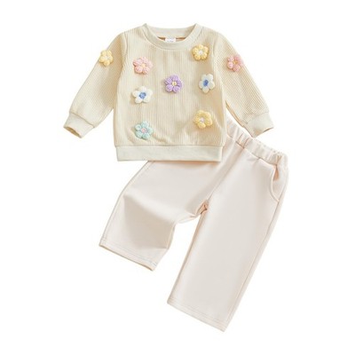 Amnnchya Toddler Baby Girl Fall Outfits 3D Flower Long Sleeve Sweatshirt 3-4T