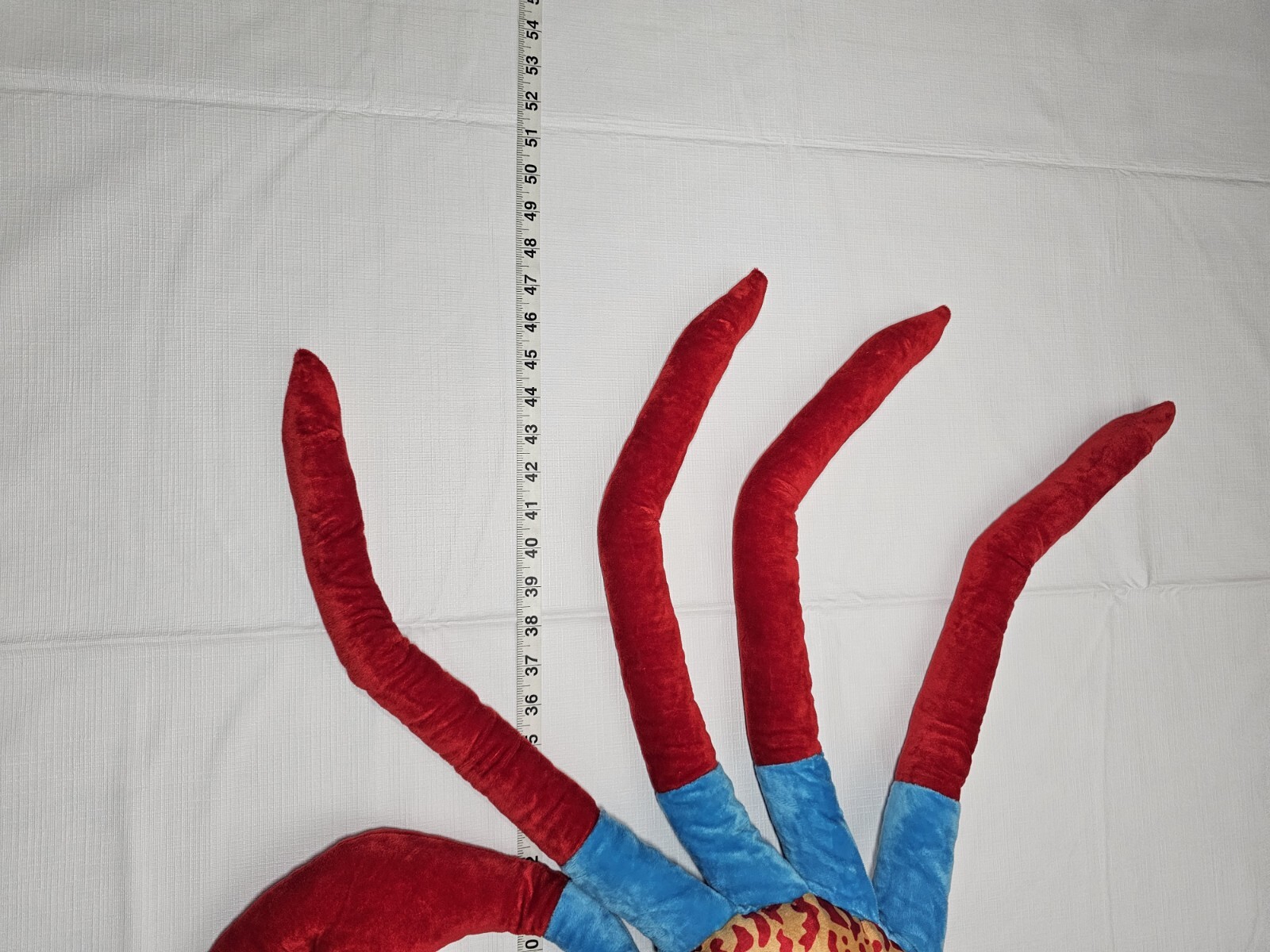 Picture 9 of 12