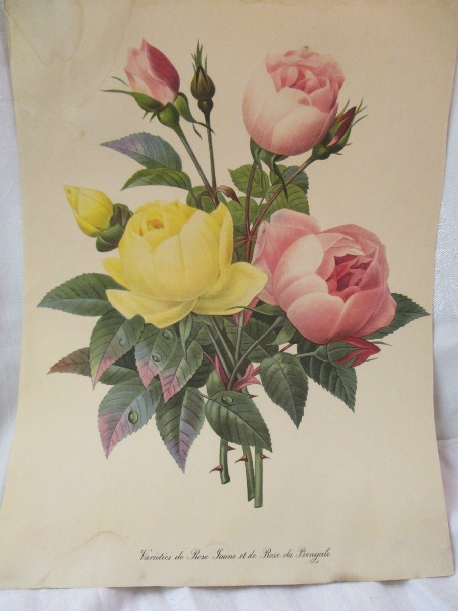 絵画 yellow roses by del gish 絵画 yellow roses by del gish Del Gish | Poppies | 2022