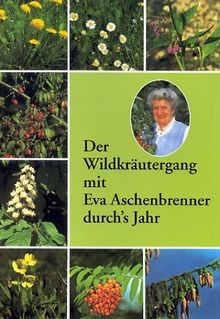 Der Wildkräutergang mit Eva Aschenbrenner durchs Jahr v... | Buch | Zustand gut