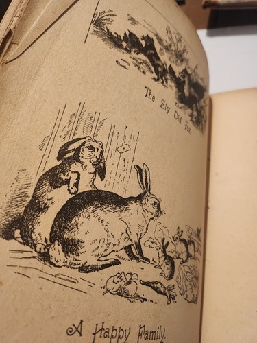 Best Of Friends - Vintage - 1904 - Childrens Stories Annual - Hardback - Picture 11 of 15