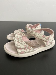baby cheetah toms