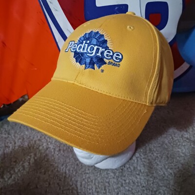 Kyle Busch Joe Gibbs Racing Pedigree Team Issued 2008 Victory Lane Hat NASCAR