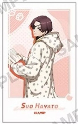 Character Card Junfei Sui Frame Available Wind Breaker Mini Bromide Collection P
