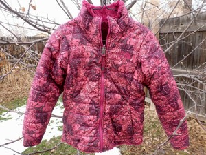 the north face chica