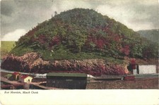 View of Houses Near Bear Mountain, Maunch Chunk Jim Thorpe Pennsylvania Postcard