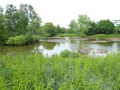 Foto 6x4 Der See im Riverside Garden Park Horley \/TQ2843 Der See ist in c2016