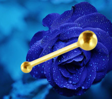 Nose stud Genuine 585 solid yellow gold Dimensions: 0.6 x 6 x 1.5 mm ...