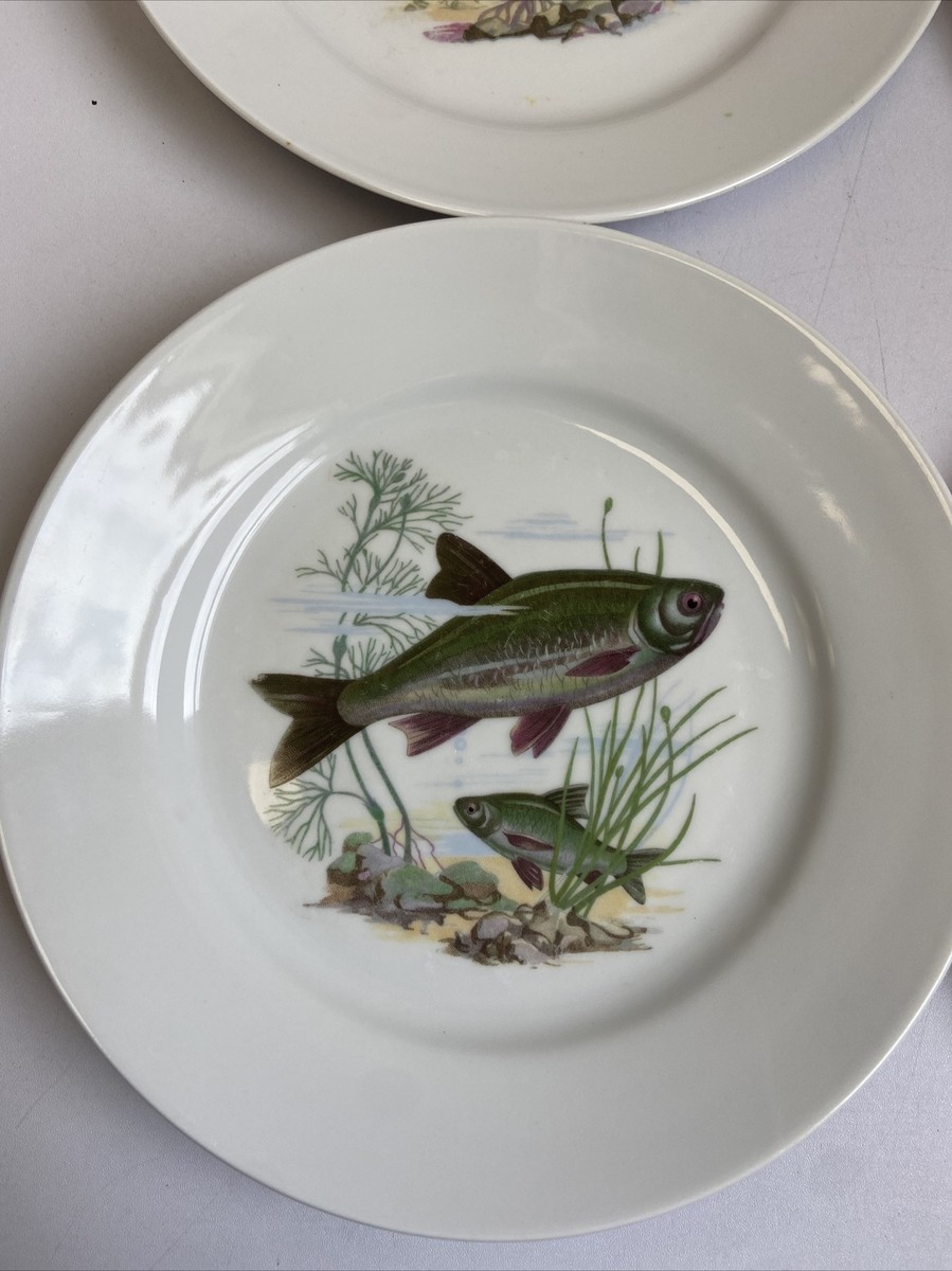 Vintage KAHLA Fish Pattern 9” Plates Made in GDR | eBay