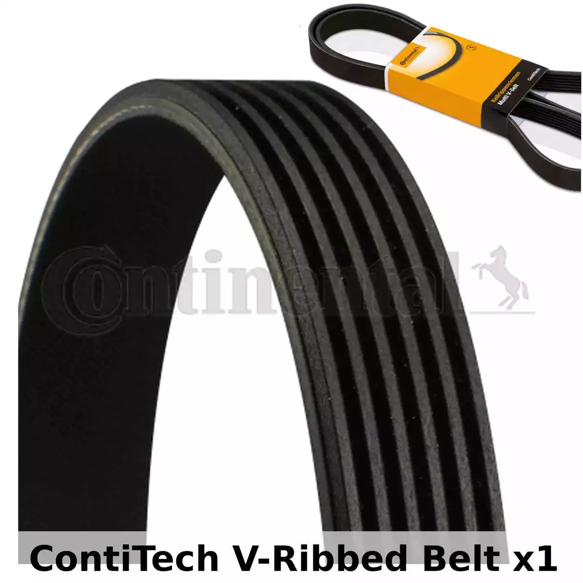Ribbed belt discount