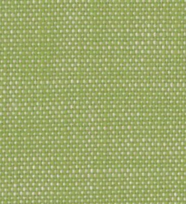 PERENNIALS INDOOR OUTDOOR PERFORMANCE  FABRIC ROUGH N ROWDY GREEN BY THE YARD