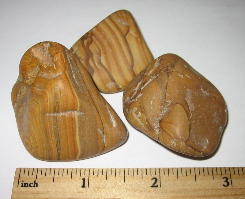 3 TUMBLED POLISHED NATURAL 1.4"-1.9" PICTURE JASPER STONE MINERALS 113.1g *1 (GG