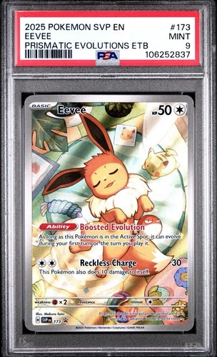 2025 POKEMON SVP EN-SV BLACK STAR PROMO #173 EEVEE PSA 9
