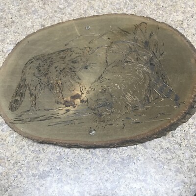 Wood Burned Picture Two Raccoons on Slice Wood with Bark Edges 13 x9.25  Plaque