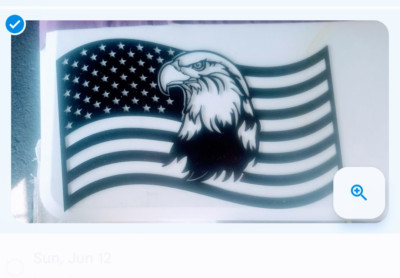 US Flag with Eagle Head or US Flag with Dont Tread On Me