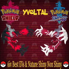 Pokemon Sword & Shield Yveltal 6IV Best EVs & Nature 🌟Shiny🌟 & Non Shiny