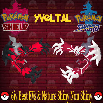Pokemon Sword & Shield Yveltal 6IV Best EVs & Nature  Shiny  & Non Shiny