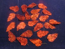Vtg Millinery Flower Leaf Velvet Rich Full Red 3 1/2" Leaves Short Stems H5684