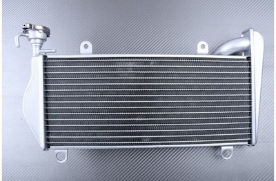 Wasserkühler Typ Original Super + Unten für Ducati Streetfighter 2