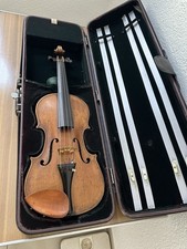 No. 1148 Old Viola / Viola
