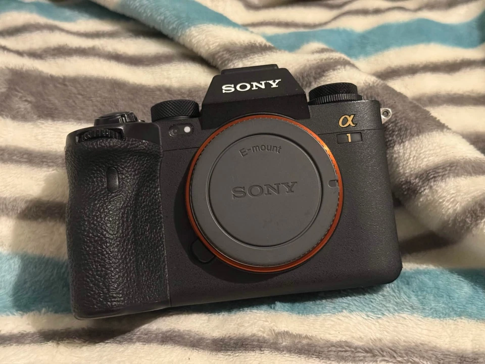 Sony Alpha 1, photo 3 of 5