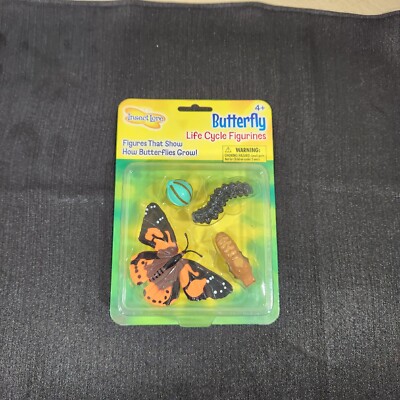 Insect Lore Butterfly Life Cycle Stages Model Science Bug Nature Educational