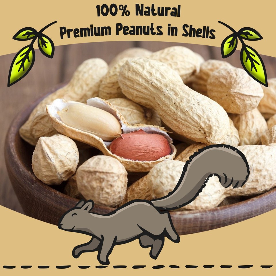 Monkey Shell Peanuts 10Kg Chubby Peanuts in Shells (Monkey Nuts) – Perfect for Squirrels ...