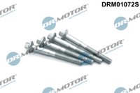 Dr. Motor Automobil DRM01072S Schraube, EinspritzdüSenhalter FüR CitroËN, Ford