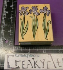 IRIS ROW FLOWERS TRIO RUBBER STAMPS HERO ARTS E2077 CREAKYATTIC